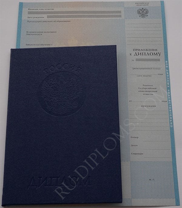 Диплом магистра 2004-2009 год 